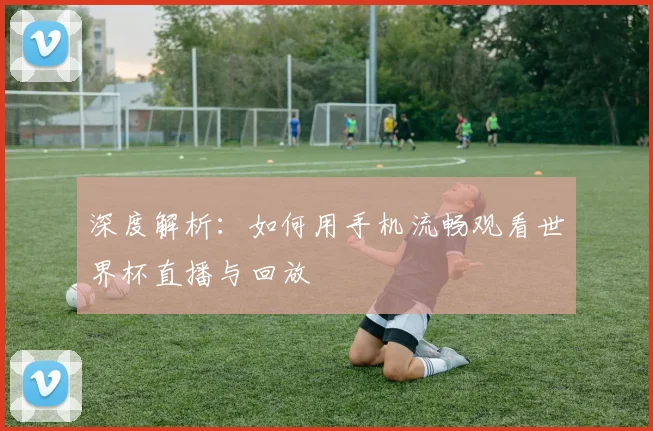 深度解析：如何用手机流畅观看世界杯直播与回放