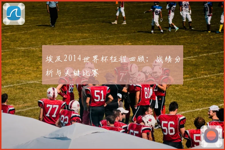 埃及2014世界杯征程回顾:战绩分析与关键比赛