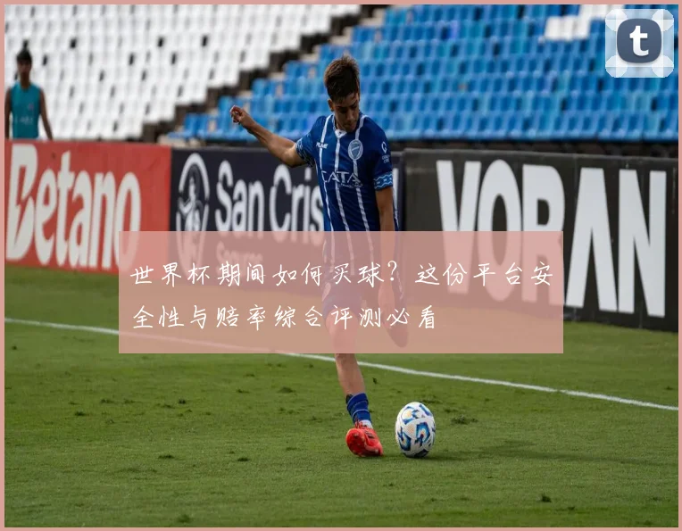 世界杯期间如何买球？这份平台安全性与赔率综合评测必看