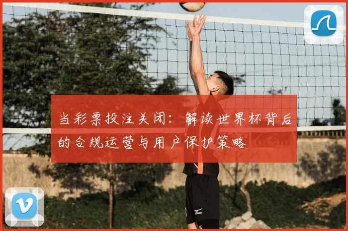 当彩票投注关闭：解读世界杯背后的合规运营与用户保护策略