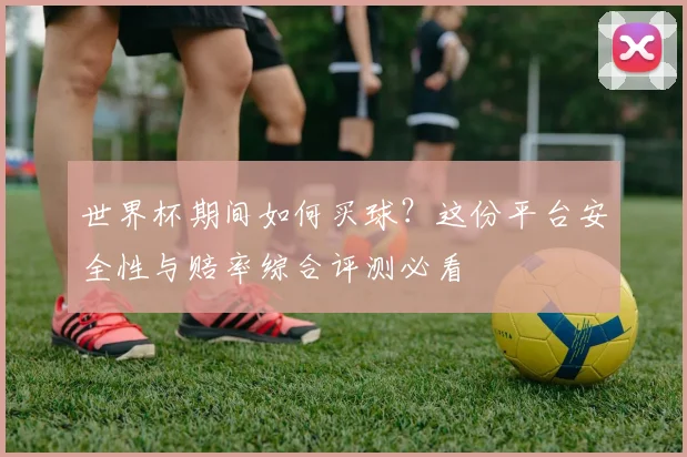 世界杯期间如何买球？这份平台安全性与赔率综合评测必看