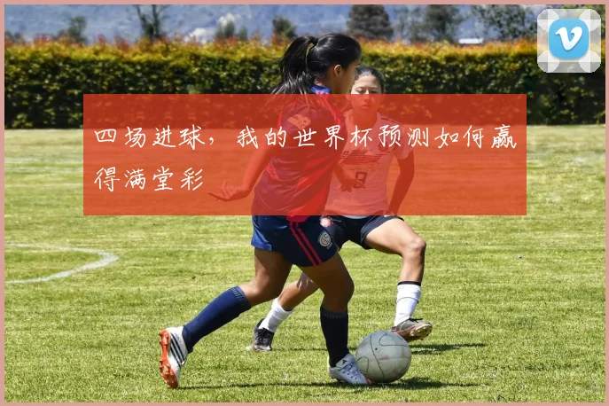 四场进球，我的世界杯预测如何赢得满堂彩