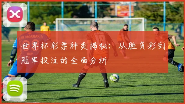 世界杯彩票种类揭秘:从胜负彩到冠军投注的全面分析
