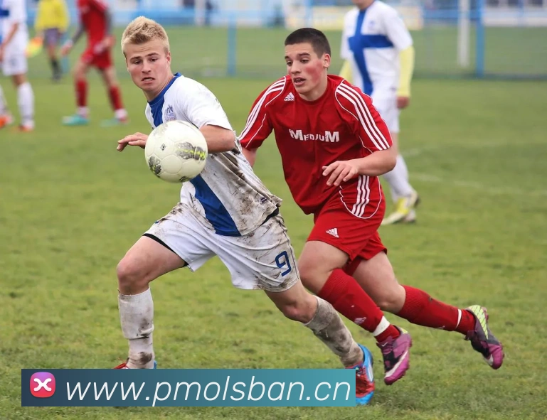 多媒体互动体验